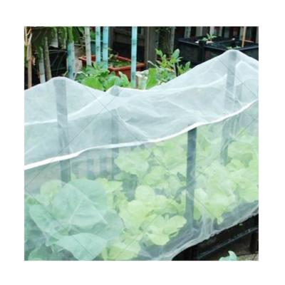 China Anti Corrosion Resistance White Hail Netting Anti Bee Hail Proof Net For Tree Crop Protection, Bird Insect Protection Net, Garden Fish Pond Net for sale