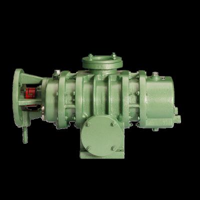 China Other ZJ Series Roots Pump Rotary Lobe Vacuum Pump Roots Pump Mechanical Propeller for sale