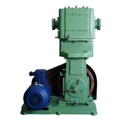 China Other Factory Direct Sales WLW Oil Free Reciprocating Vertical Vacuum Pump For Vacuum Drying for sale