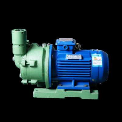 China Other SZ-63Y 3KW Single Stage Liquid Ring Vacuum Pump Nash Vacuum Pump for sale