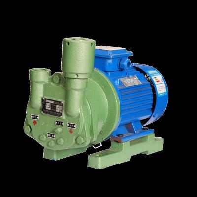 China Other Ring Vacuum Water Ring Type Vacuum Pump Circulating Water Liquid Vacuum Pump for sale