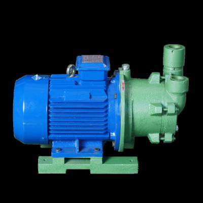 China Other SZ-160Y Industrial Water Vacuum Pump Compressor Circulating Water Ring Vacuum Pump for sale