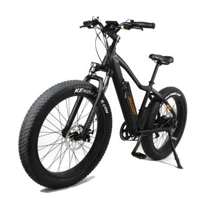 China 2020 new model standard fat tire electric bike 750w 48v e-bike lithium battery electric bicycle for sale