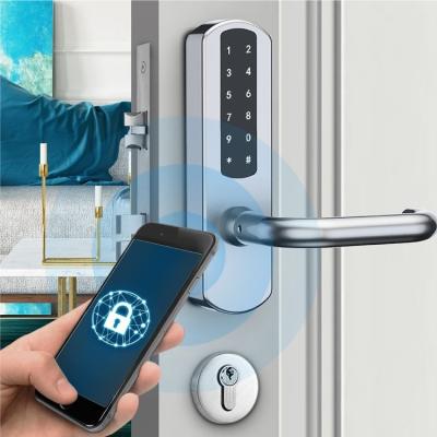 China Professional Manufacturer SUS3 04 China Supply App Remote Control Smart Door Lock for Bedroom for sale