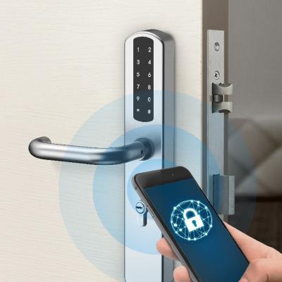 China SUS304 JIXIN Manufacturer Professional Smart Handle Lock Tuyo Smart Door Lock Tuya Smart Lock for sale