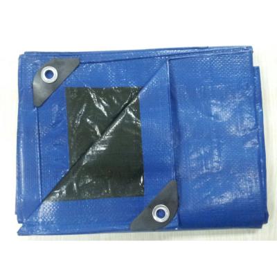 China Waterproof rainproof tarpaulin for industrial&agricultural for sale