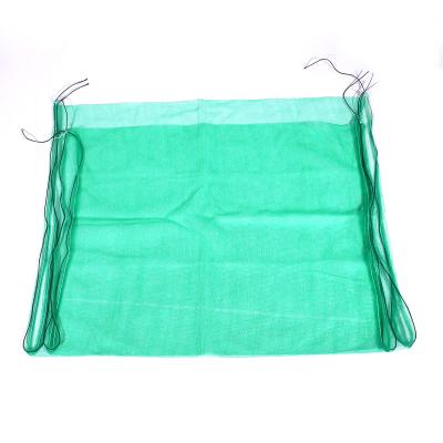 China Agriculture Protective Date Palm Mesh Net Bag For Palm Making For Middle East Market 80x100cm 53g/pc for sale