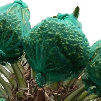 China Agriculture PE Date Palm Bags With Strong Drawstring for sale