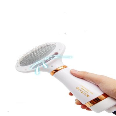 China 2020 New Design Pet Grooming Fan Brush Dog Hair Dryer Viable Adjustable Temperatures 2 In 1 Pet Brush Dryer for sale