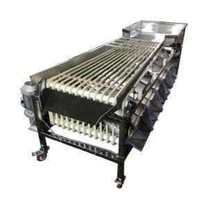 China Wear Resistance Strawberry Processing Machine Vegetable Fruits Track Sorter Separator for sale