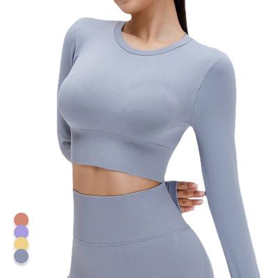 China Custom Sports Fitness Girls Long Sleeve Breathable Hot Selling Sports Workout Sports Top Bra Yoga Wear High Quality Elastic Fitness Crop for sale