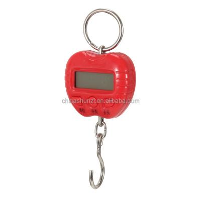 China Can Be Designed Alone Yourself 50kg 10g Portable Electronic Scale Hanging Fishing Luggage Digital Pocket Weight Hook Scale for sale