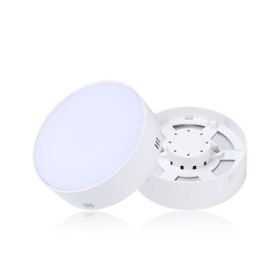 China Modern trimless round downlight led ceiling spotlight 8W 20W 22W 15W surface mounted led downlight for sale