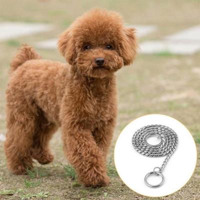 China Durable Strong Gold Choke Chain Dog Show Resistant Collar For Dogs Walking for sale