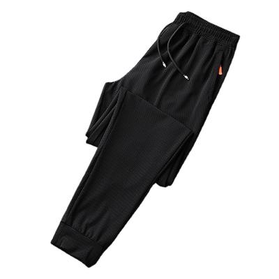 China Low Price Cheap Designer Summer Anti-wrinkle Nice Breathable Mesh Long Pants For Men Quick Dry for sale