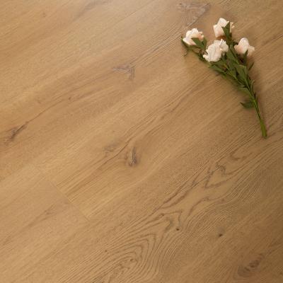 China Anti-slip 12mm Germany Technic HDF Premium Laminate Flooring for sale