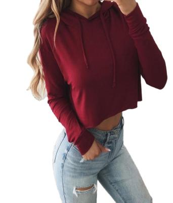 China Wholesale Custom Breathable Plain Womens 90% Polyester Long Sleeve Hoodies Sweatshirts for sale