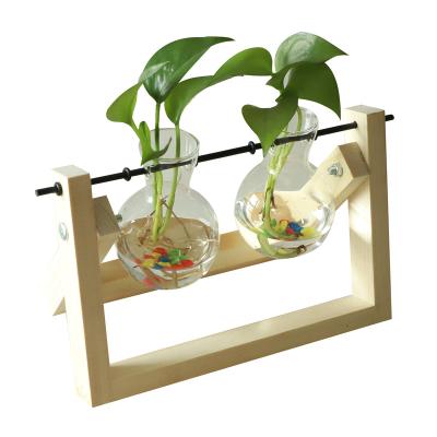 China Eco-friendly Best-Selling Creative Eco-Friendly Transparent Glass Vase Hydroponic for sale