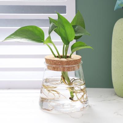 China Eco-friendly High Quality Low Price Hydroponics Flower Pot Glass Vase For Office Home Decor for sale