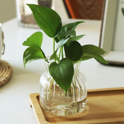 China Modern Home Decoration Unique Vase Glass For Flower Arrangement Home Decorative for sale