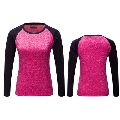 China Anti Shrink Women Long Sleeve Plain T-Shirt For Females Fitness Training for sale