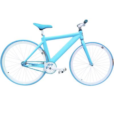 China HOT SALE TIANJIN CHEAP 700C fixie bicycle steel TRIUMPH bikes fixed gear bicycle in Chile market for sale