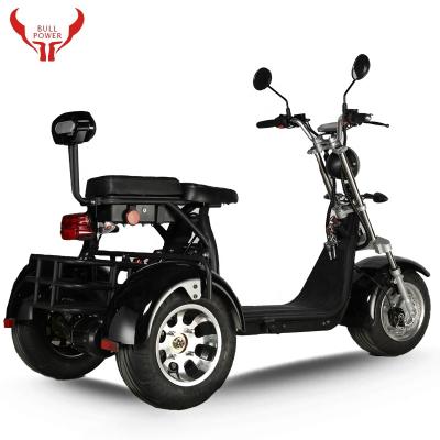 China High Quality Low Price Unisex Customized 2 Person Scooter Adult 3 Wheel Electric Scooter for sale