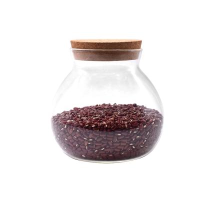 China Freshness Preservation Kitchen Use Glass Container Food Storage Cork Soft Glass Jar Wholesale Borosilicate Glass for sale