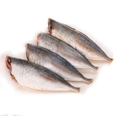 China NATURE Wholesale Hot Sale HGT Frozen Saurels For Canned for sale