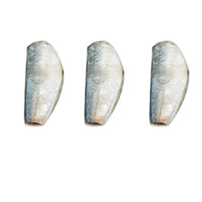 China NATURE Wholesale Hot Sale HGT 7-9cm Frozen Mackerel For Sale for sale