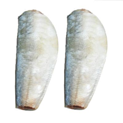 China NATURE HGT Mackerel 7-9cm Frozen Fishing , For Canning Saurels Frozen Fishing for sale