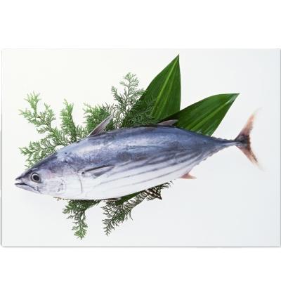 China Wholesale Hot High Quality Sea NATURE Tuna For Market Frozen Bonito Tuna For Market Good Quality IQF for sale