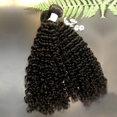 China Deep Curly Deep Curly Raw Cuticle Aligned Virgin Indian Hair Unprocessed Virgin Hair Vendors for sale