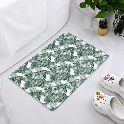 China Stain Resistant Custom 3d Printing Home Indoor Kitchen Mat Queen Mat Set Anti Slip Bath Floor Cover Mat Mat Bathroom Door for sale