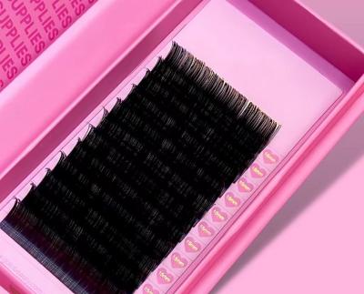 China Synthetic Hair Private Label Eyelashes Individual Eyelash Extension Professional With Pbt Material for sale