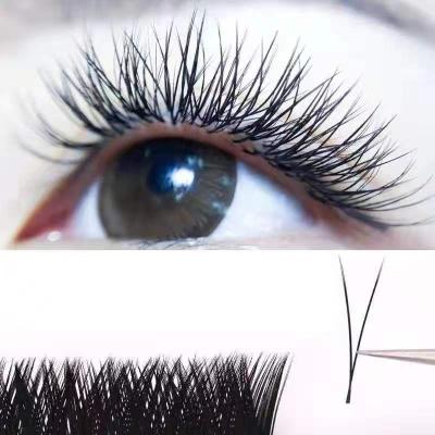 China Synthetic Hair V Eyelash Extensions Supply V Curl Eyelashes Synthetic for sale