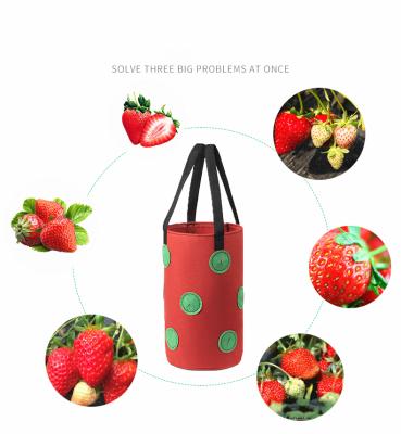 China Planting Bag Multi-mouth Strawberry Bag With Hanging Hole 13 Hole Strawberry Planting Bag for sale