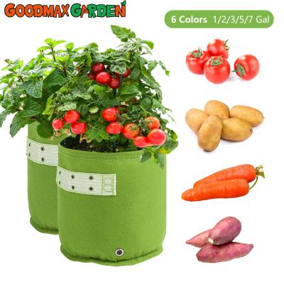 China Modern Agrotextile Bags For Planting Nursery Grow Variety Of Colors Plant Fiber Garden Plant Grow Bag for sale