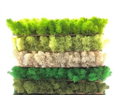 China Artificial wall decoration wholesale stabilzed preserved moss grass wall for decoration for sale