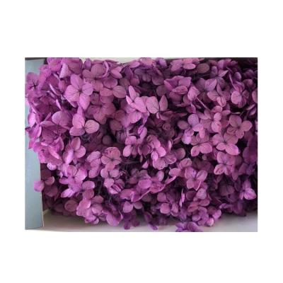 China Bestselling Everlasting Flower Everlasting Stabilized Flower Preserved Immortal Hydrangea Flowers for sale