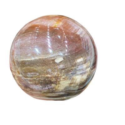 China Wholesale Natural National Stone China Crystal Fossil Geo Wooden Ball Petrified Wooden Sphere For Souvenir for sale