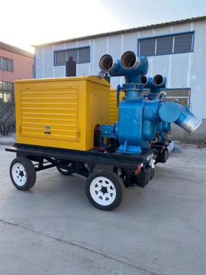 China High Flow Rate Diesel Engine Pumps With Low Fuel Consumption Easy Installation for sale