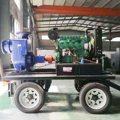 China Large Displacement And Durable Flow Rate Diesel Engine Pumps for sale