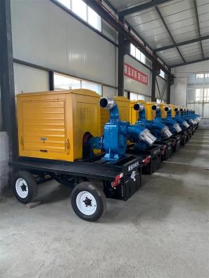 China Compact And Efficient Diesel Pumps For High Pressure Applications for sale