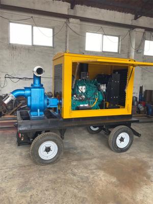 China Diesel Engine Pumps for Demanding Operations for sale