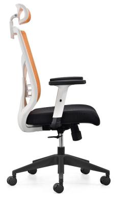 China ergonomic chair executive chair office mesh  chair with ajustable lumbar support flexibale armrest and injection foam for sale