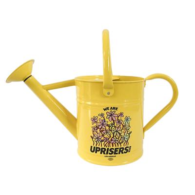 China Yellow Garden Watering Tools Or 2L Long Watering Can Spout Custom Stainless Watering Can For Garden for sale