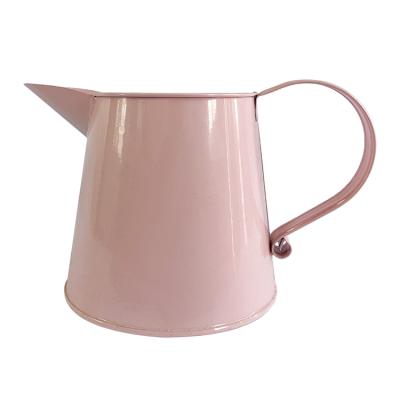 China Indoor Garden Watering Tools and Outdoor Modern 1L Rose Stainless Steel Watering Can for Flower Vegetation for sale