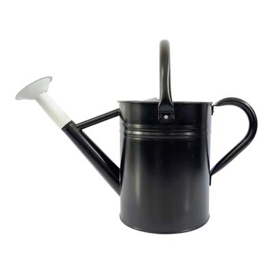 China Indoor garden watering tools and large outdoor black galvanized steel metal watering can 4L for sale