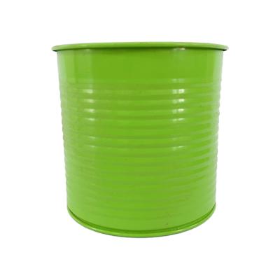 China Garden CLASSIC Flower Green Plant Planting Tools Decorative Iron 0.5L Metal Flower Pot for sale